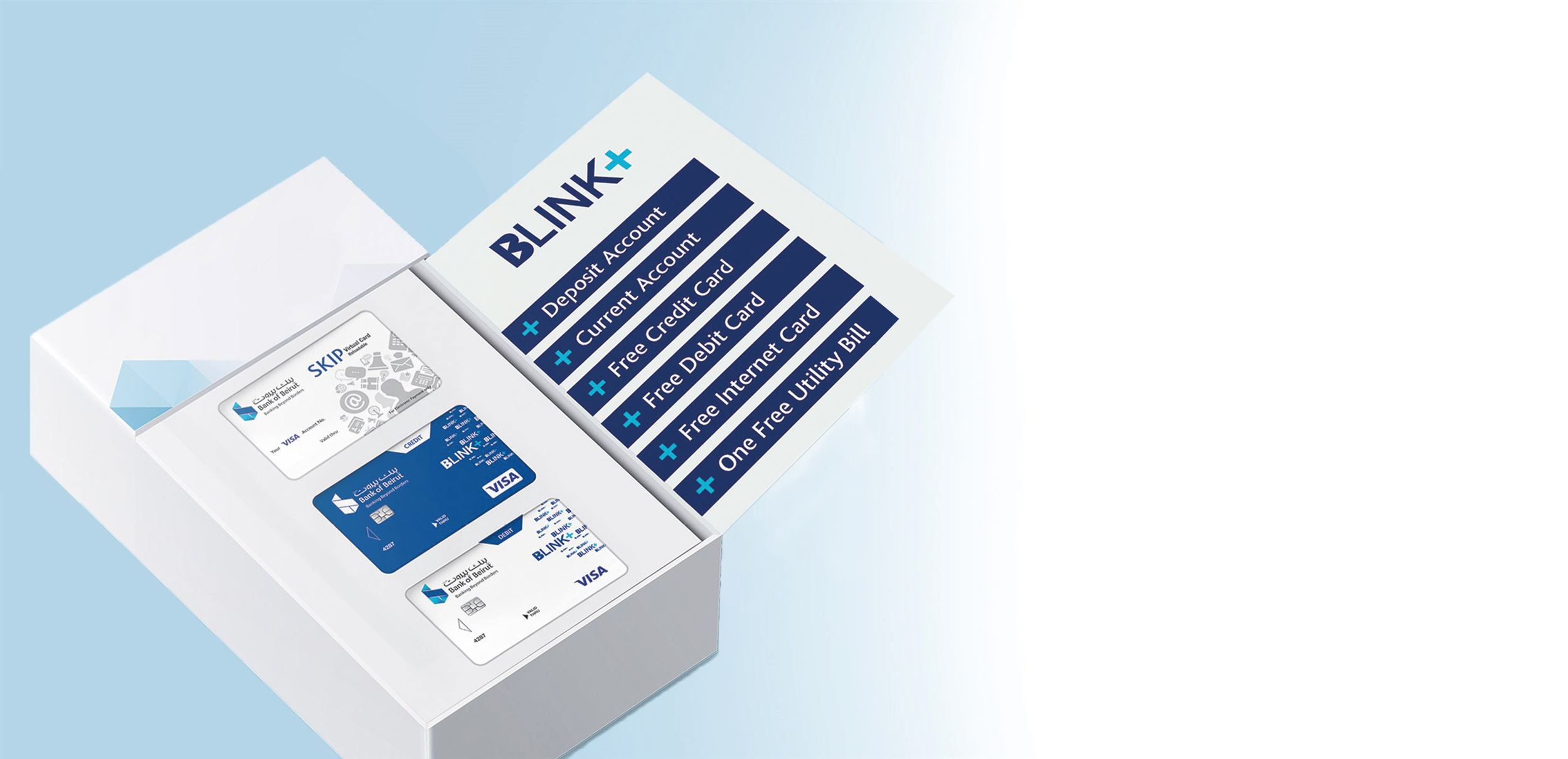 Blink Plus