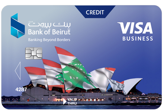 بطاقة VISA Business Platinum